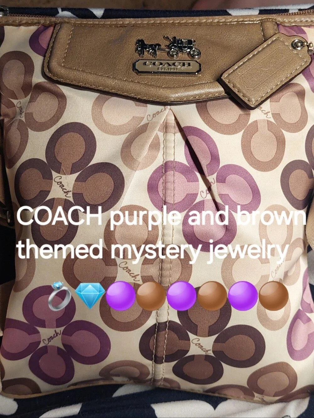 COACH PURPLE AND BROWN THEMED MYSTERY JEWELRY BAG